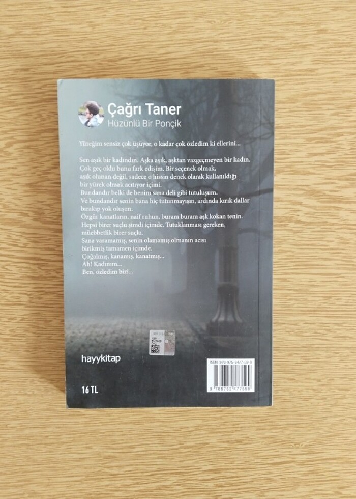 Hüzünlü Bir Ponçik - Çağrı Taner - Görsel 2