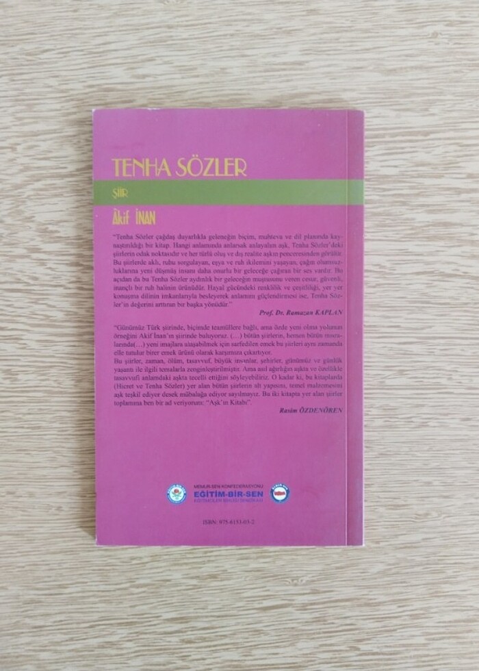 TENHA SÖZLER ŞİİR - Görsel 2