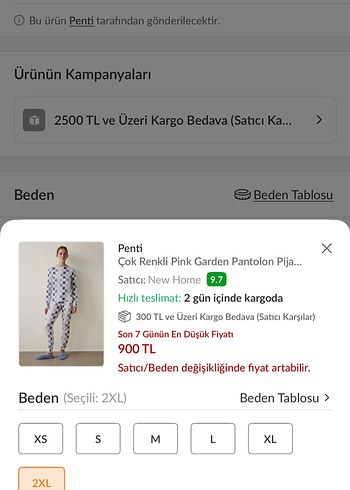 Penti Çok Renkli 2XL Kadın Pijama Takımı - Görsel 5