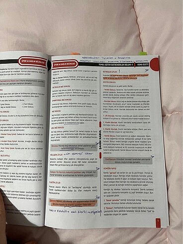 Temel eğitim antrenörlük 1. Kademe kitap