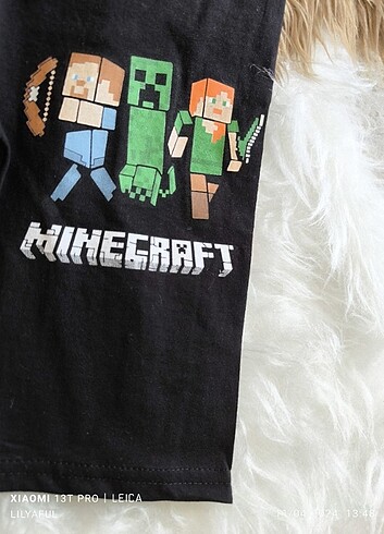 Diğer Minecraft baskılı takım
