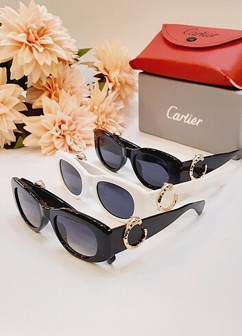 Cartier Gozluk