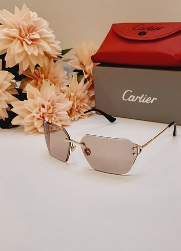 Cartier Gozluk
