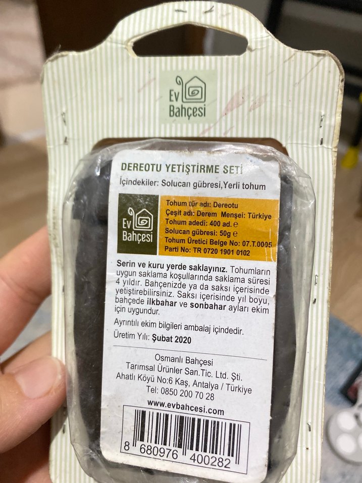 Dereotu Tohumu 400 Adet - Ev Bahçesi - Görsel 2