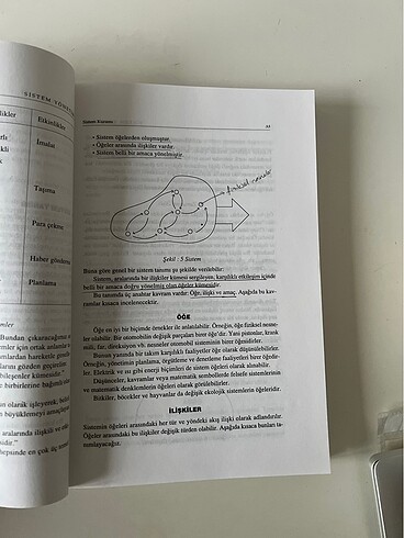  Beden Renk Sistem Yönetimi