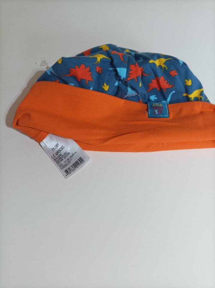 Çok Renkli Erkek Çocuk Dinozor Desenli Bere - Görsel 2