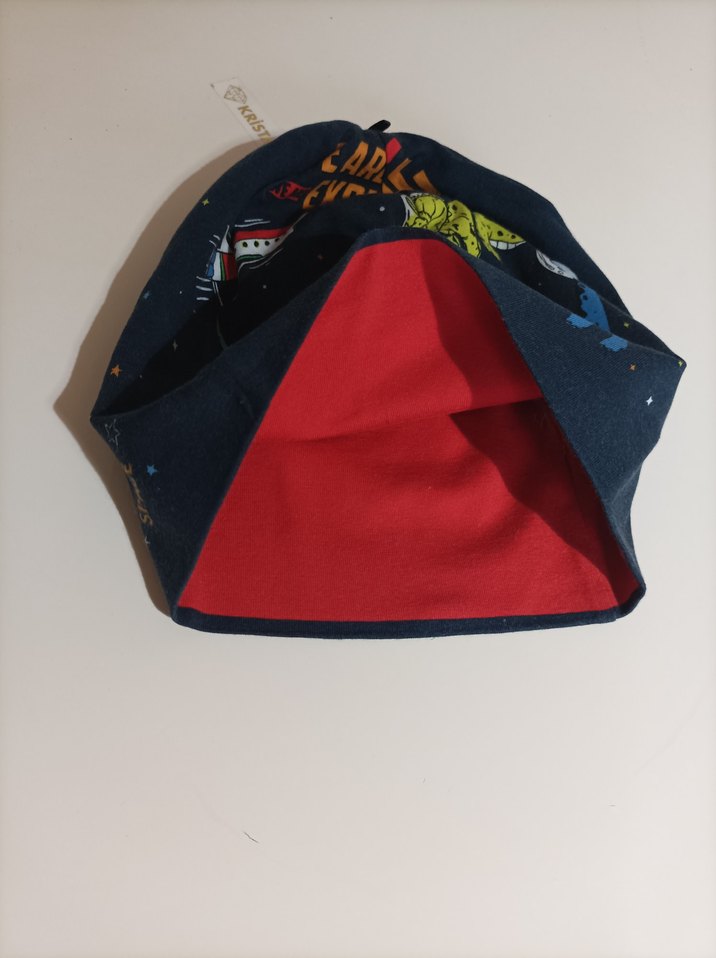 Mavi Dinozor Baskılı Erkek Bere - Görsel 3