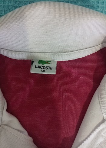 Kısa Kollu  Tişört - Görsel 4