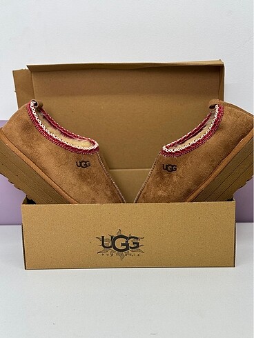 Ugg taz taba