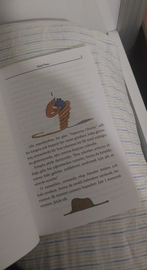 Küçük Prens - Antoine de Saint-Exupéry - Görsel 3