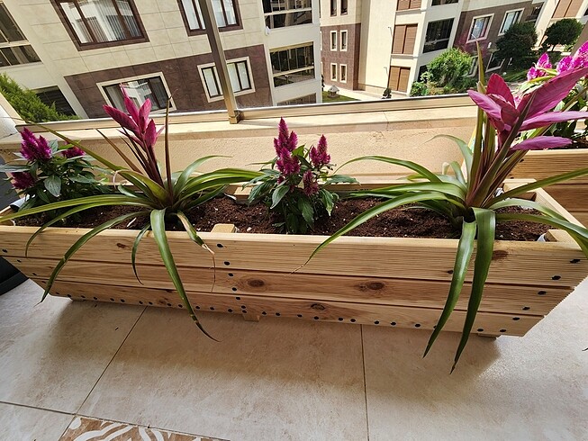 Beden Ahşap saksı