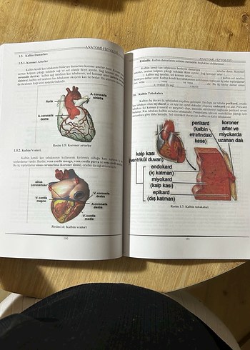 15 adet sağlık kitapı - Görsel 10