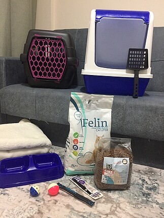 Kedi için tüm ihtiyaçlar