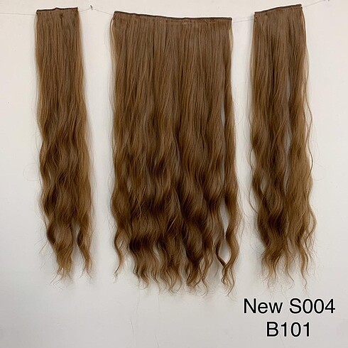 NewS004 B101
