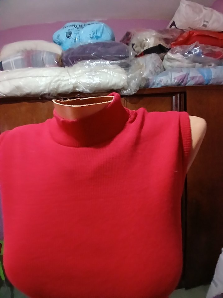 Yüksek Yakalı Kolsuz Triko Elbise - Görsel 5