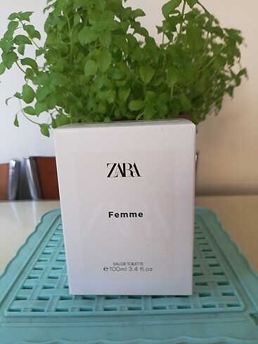 Zara Femme 100 Ml Kadın Parfüm 