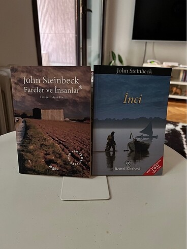 JOHN STEİNBECK