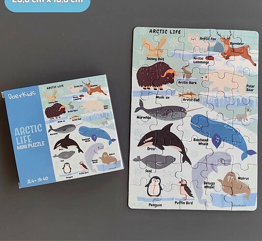 Beden Renk Doer kids mini puzzle