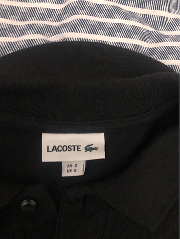 Lacoste siyah