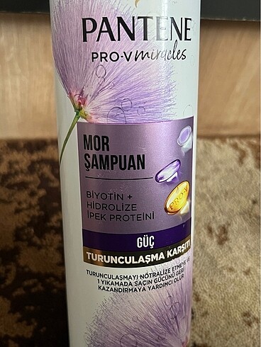  Beden Pantene mor şampuan