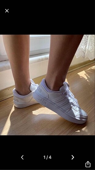 Adidas sneaker