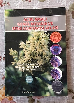 Palme botanik kitabı 
