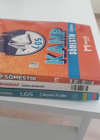 Beden Renk 8.sınıf lgs kitabı
