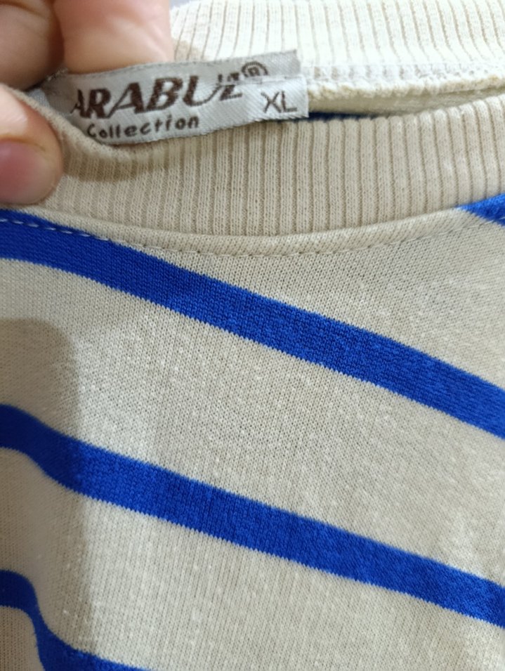 Mavi Çizgili Kadın Sweatshirt - Görsel 2