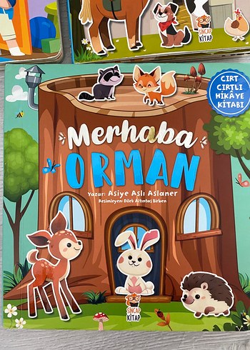 Sincap kitap cırt cırtlı kitap serisi - Görsel 2