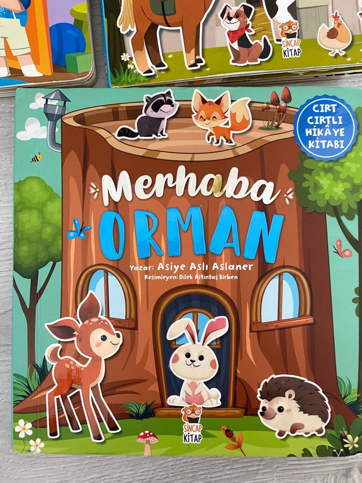 Sincap kitap cırt cırtlı kitap serisi - Görsel 2