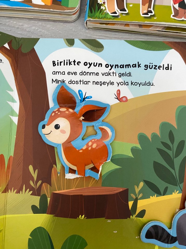 Sincap kitap cırt cırtlı kitap serisi - Görsel 4