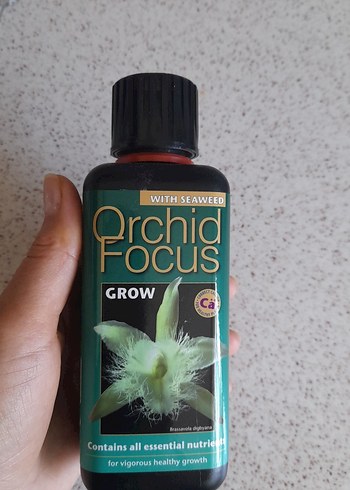 Orchid Focus Grow Deniz Yosunu İçerikli Besleyici