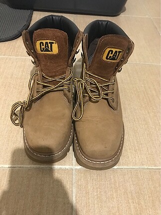 Cat bot