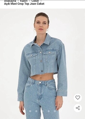 Pierre Cardin Kot Ceket