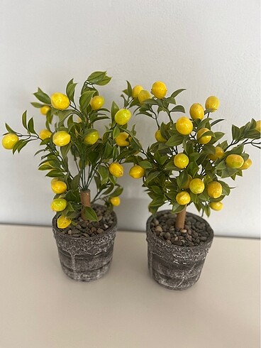 Ikea Limon agacı 2 adet