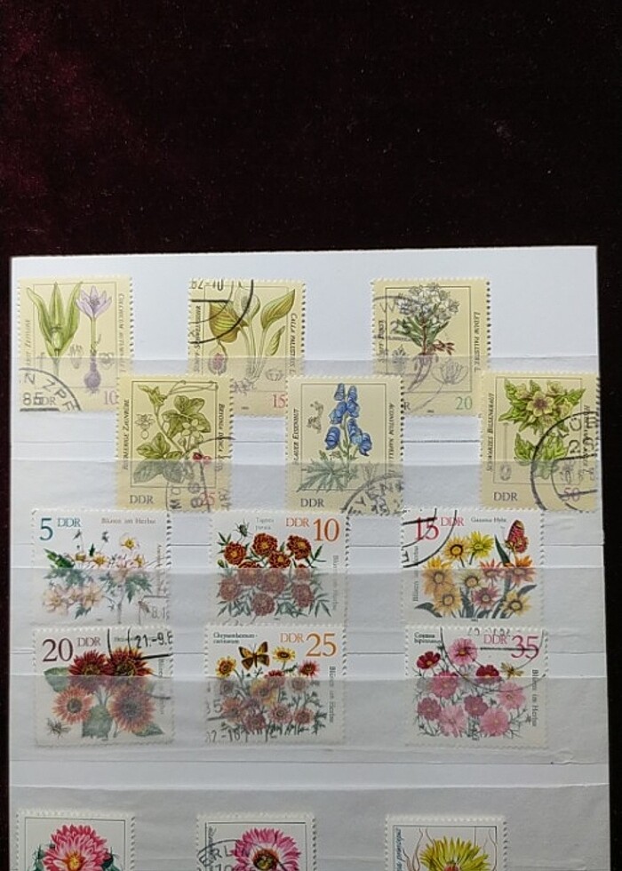 DOĞU ALMANYA DDR ÇİÇEK TEMALI TAM SERİ PUL KOLEKSİYONU  - Görsel 2