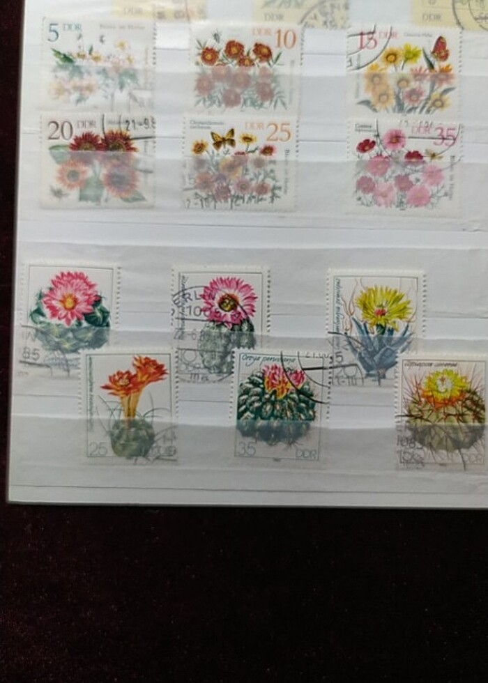 DOĞU ALMANYA DDR ÇİÇEK TEMALI TAM SERİ PUL KOLEKSİYONU  - Görsel 3