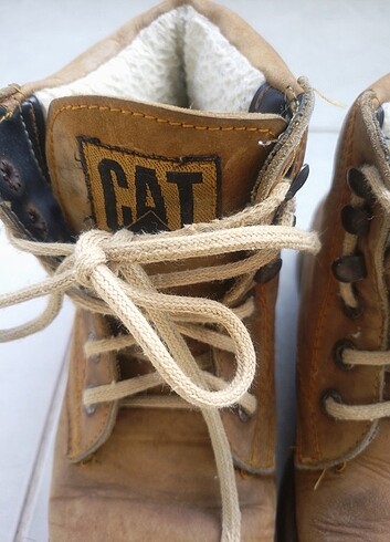 Cat Cat unisex bot