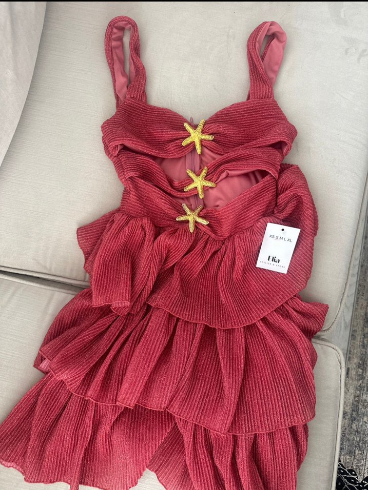 Pullu Pileli Mini Yıldız Detaylı Pembe Şık Elbise - Görsel 3