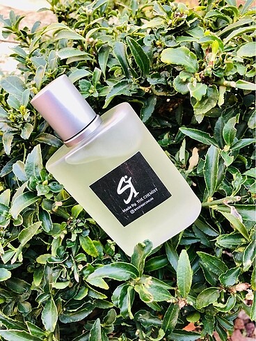 Sauvage