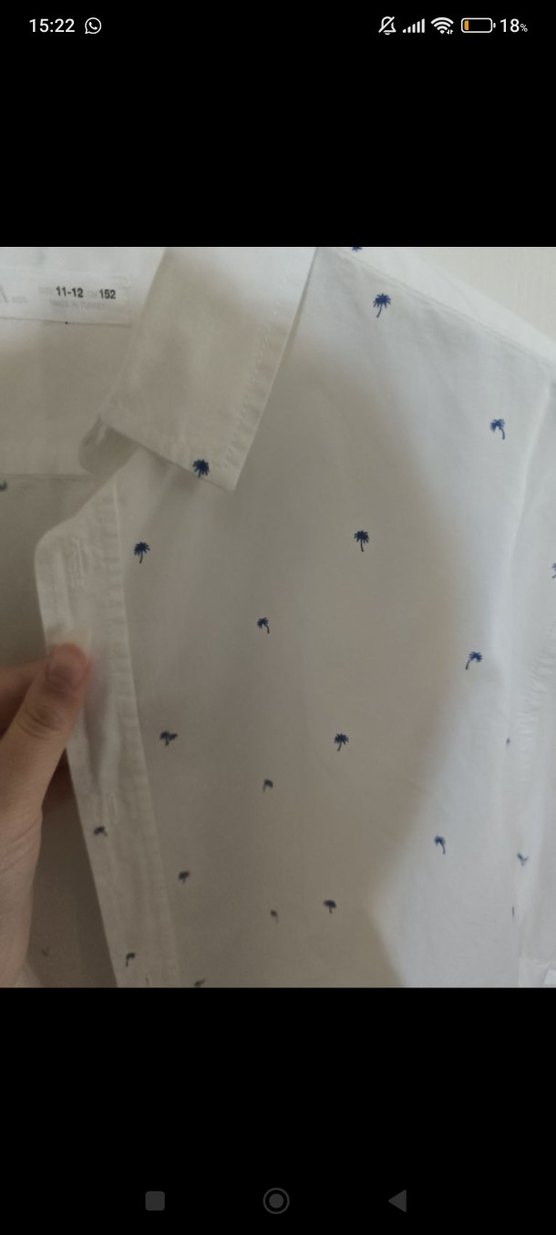 Zara Erkek Çocuk Yazlık Gömlek - Görsel 2