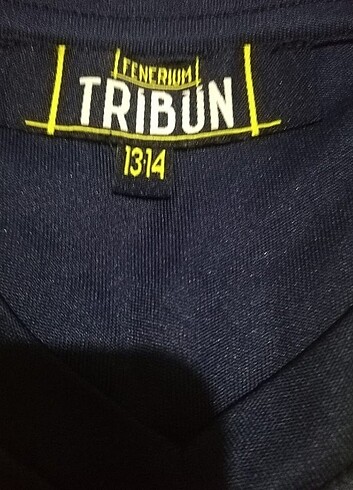 13-14 Yaş Beden lacivert Renk Fenerbahçe forması