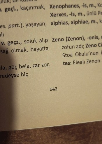 Descartes Latince Öğreniyor - Çiğdem Dürüşken - Görsel 4