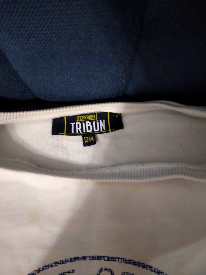 Beyaz Fenerbahçe Baskılı. erkek çocuk Sweatshirt - Görsel 3