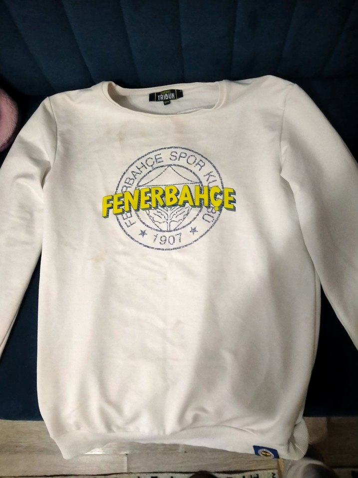 Beyaz Fenerbahçe Baskılı. erkek çocuk Sweatshirt - Görsel 2