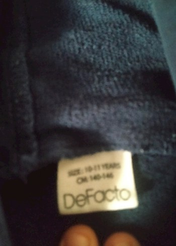 Defacto Düğmeli Kapüşonlu Mavi Erkek Sweatshirt
