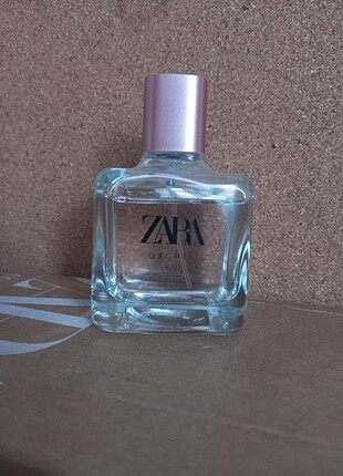 Zara orchid