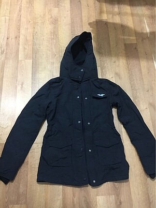 Hollister bayan mont