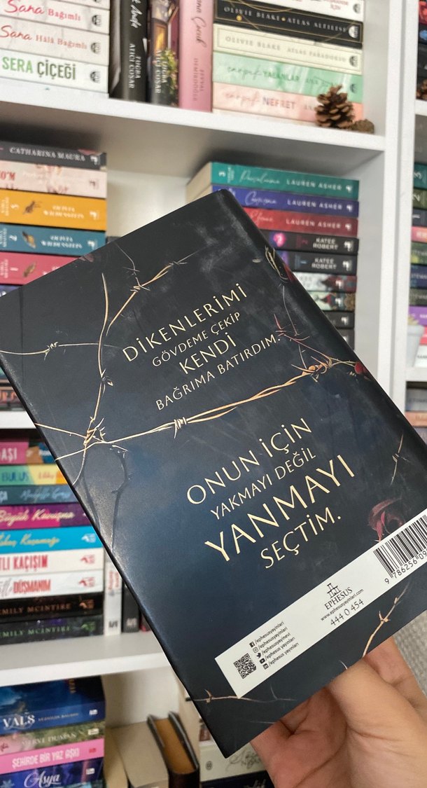 Bülbül Kapanı - Loresima - Görsel 2