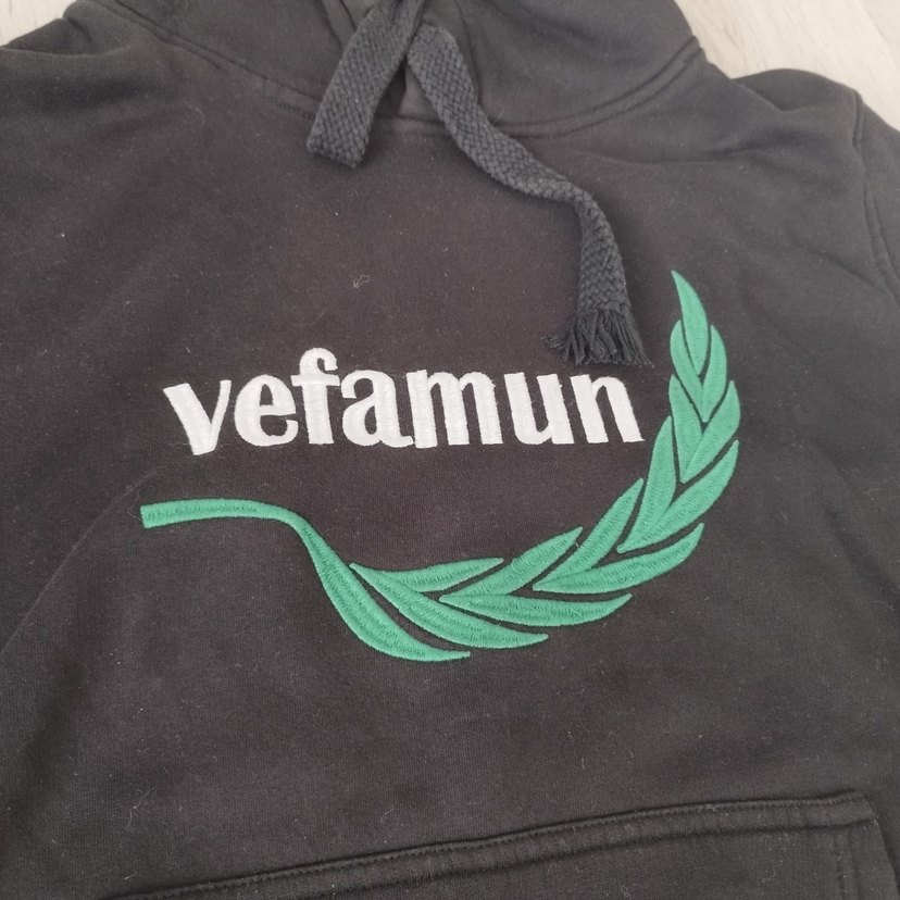 Vefa Lisesi Sweatshirt - Görsel 2